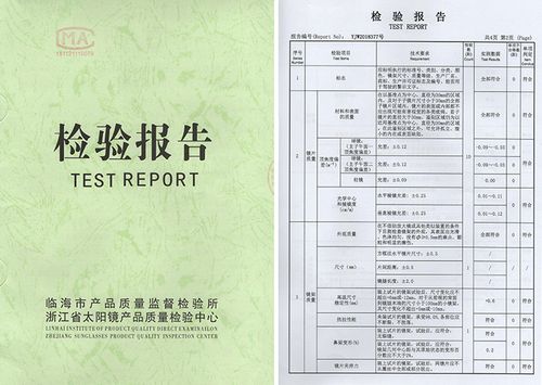 Trendy Euro-American Style Sunglasses