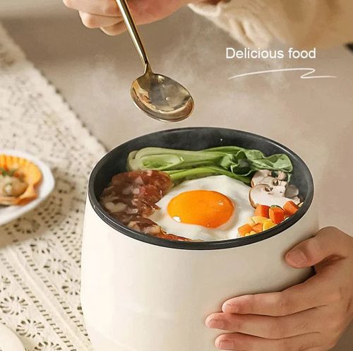 Multi-Functional Mini Cooker