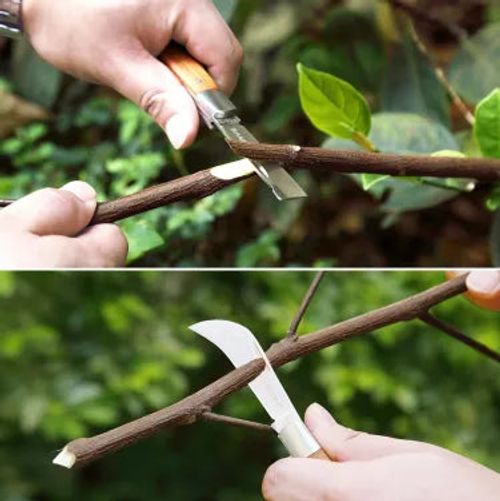 Fruit Tree Pruning Shears Grafting Cutting Tool