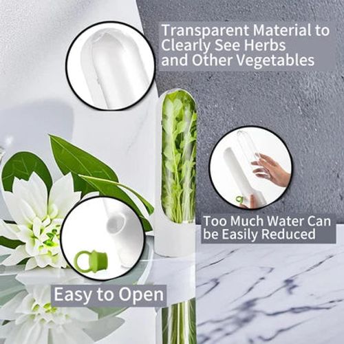 🔥Fresh vegetable storage box 3 PCS🔥