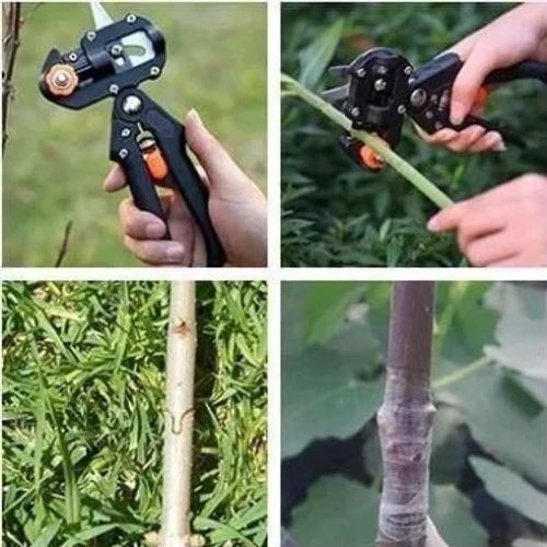 Fruit Tree Pruning Shears Grafting Cutting Tool