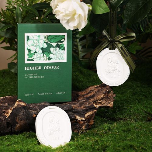 Casa Difusor De Aromaterapia Pendurado Fragrância Difusor De Óleo Essencial Pedra Perfumado Flor Cerâmica Gesso Pingente