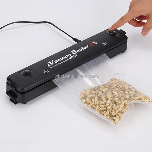 Home Automatic Food Saver Vacuum Sealer for Kitchen Food Fish Fruit With 100 Bags