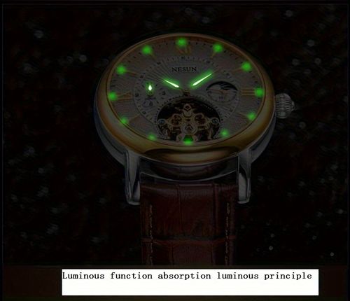 Nesun men's watch, men's mechanical watch, automatic luminous multifunctional men's watch, men's style mechanical watch, men's watch