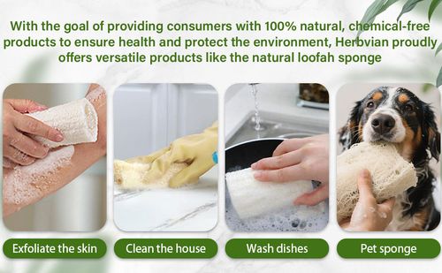 Organic and natural cucumber fibers  Unbleached natural cucumbers  Used for body exfoliation and kitchen cleaning  Eco-friendly bathtub  Shower scrubber  For face, back, tableware  Natural cucumber fibers  5 pieces