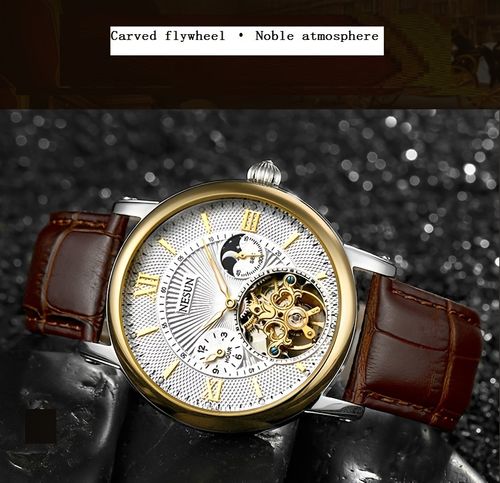 Nesun men's watch, men's mechanical watch, automatic luminous multifunctional men's watch, men's style mechanical watch, men's watch