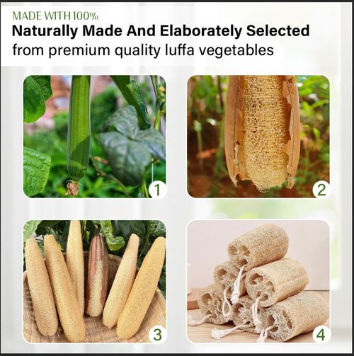 Organic and natural cucumber fibers  Unbleached natural cucumbers  Used for body exfoliation and kitchen cleaning  Eco-friendly bathtub  Shower scrubber  For face, back, tableware  Natural cucumber fibers  5 pieces