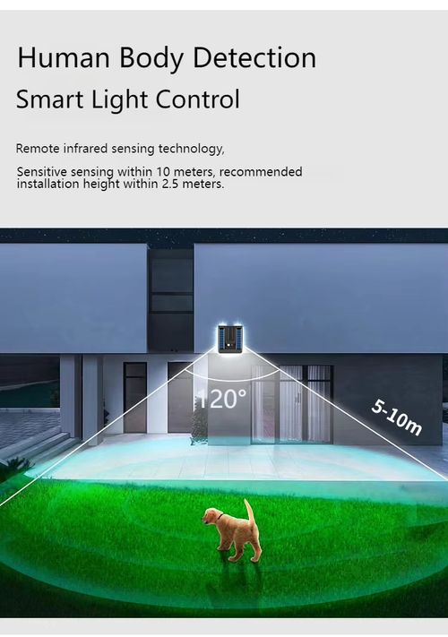 Solar Wall Light