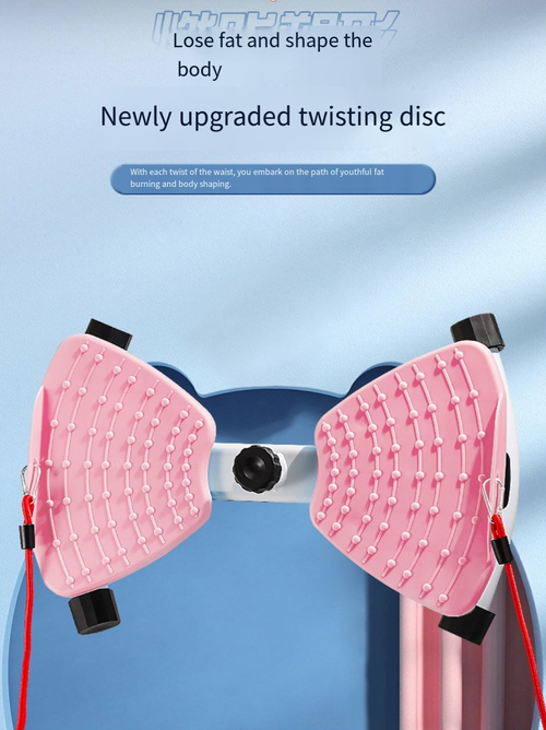 Twisting disc (slimming equipment)