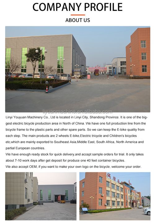 Brand New Factory Leisure Electric Tricycle, Adult Transportation Electric Tricycle 5 sales