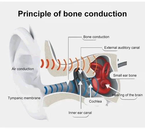 TWS Wireless Bone Conduction Digital Bluetooth Earbuds🚀Limited time 50% off 🚀Ghana Cash on Delivery