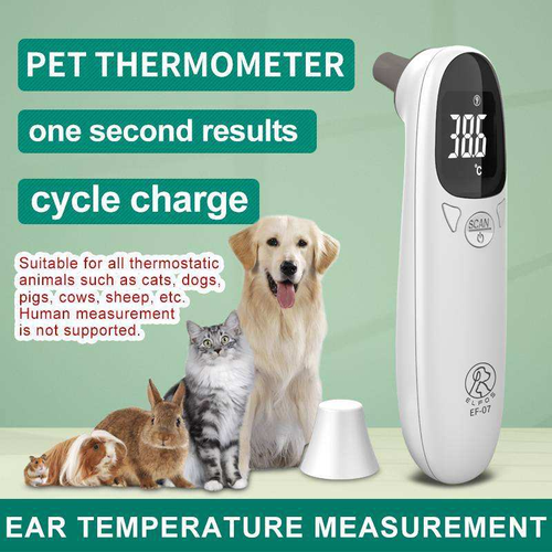 Pet thermometer