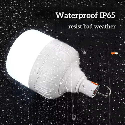 Emergency light bulb - with USB charging function