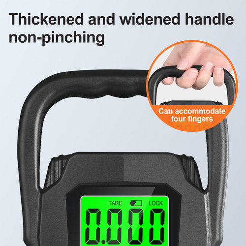 Portable electronic scale