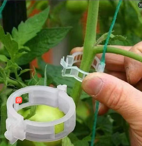 (100PCS 1SET)Wholesale Large Transparent Plastic Greenhouse for Tomato Graft Clip Green Inventory for Plant Agriculture Hydroponic Use