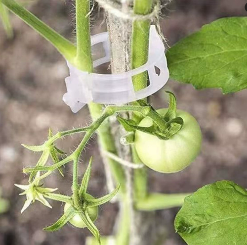 (100PCS 1SET)Wholesale Large Transparent Plastic Greenhouse for Tomato Graft Clip Green Inventory for Plant Agriculture Hydroponic Use
