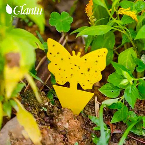 20PCS Super Sticky Yellow Gnat Traps Non-Toxic Fruit Fly Insect Catcher for Indoor and Outdoor Pest Control