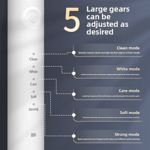 Sonic Electric Toothbrush with Soft Bristles Magnetic Levitation Rechargeable Tartar Remover Teeth Whitening Stain Removal