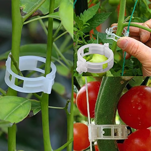 🔥Plant Support Clips🌙