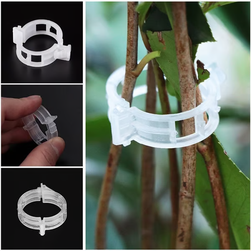 🔥Plant Support Clips🌙