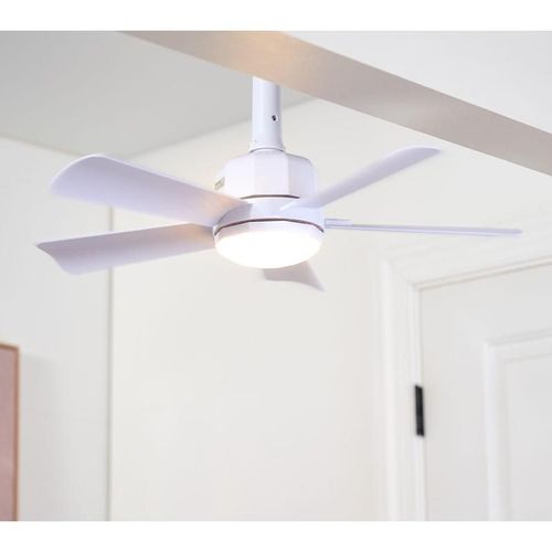 Cascade Pro 2-in-1 Socket 19'' Ceiling Fan & LED Light