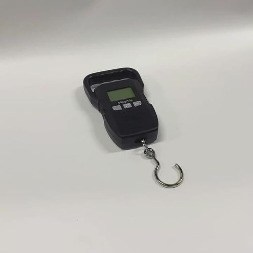 crane scale