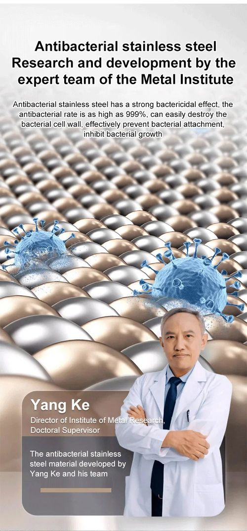 6 morceaux de plat carré en acier inoxydable (avec couvercle)