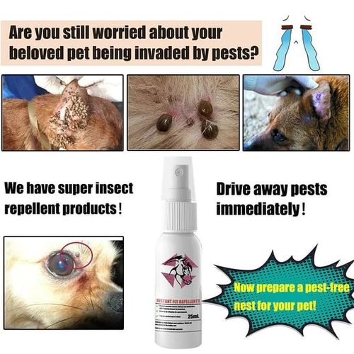Fly repellent pet anti-itch spray