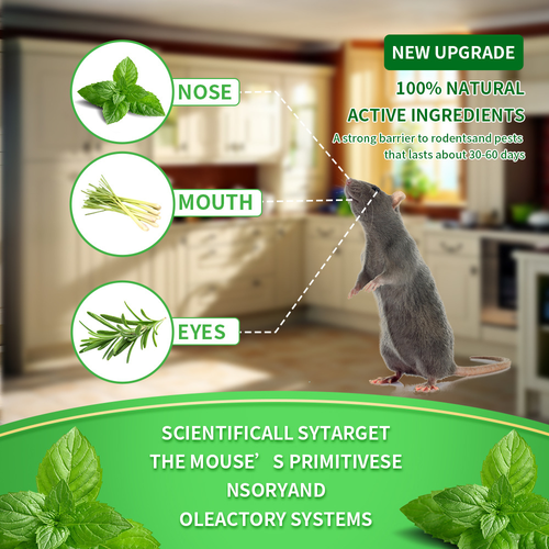 ✨DLJ-CePin✨Plant Essential Oil Repellent and Insect and Rodent Control Pills