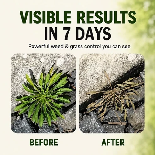 ✨DLJ-Cepin✨Herbicide Spraying for Various Applications: Weed Control and Landscape Maintenance