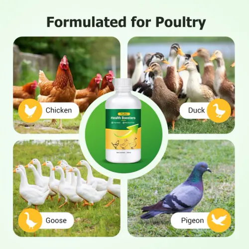 OralSolutionforPoultry