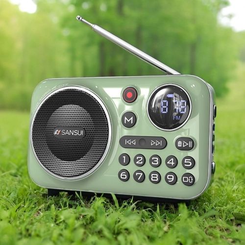 Bluetooth radio with recording function