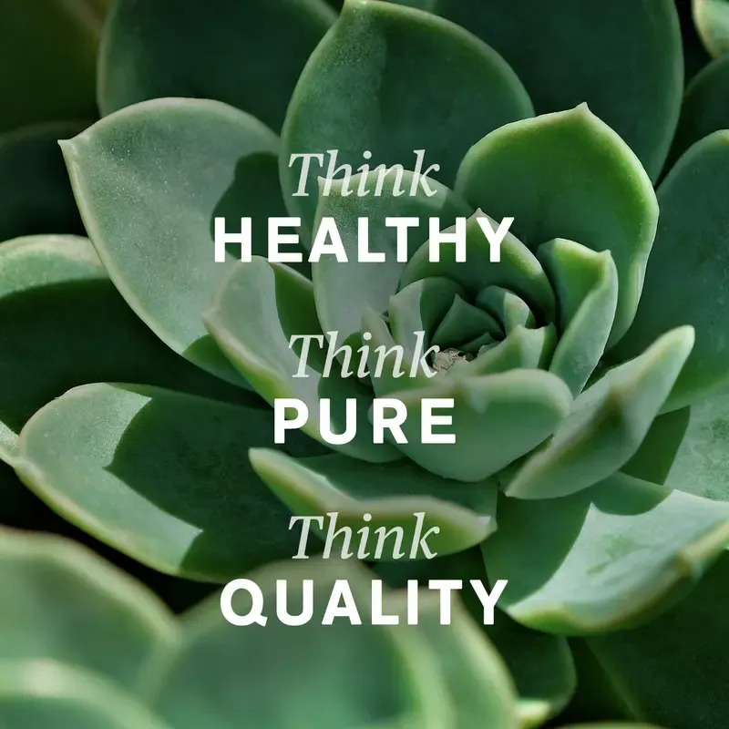 Nature's Sunshine Lymphatic Drainage Supplement: Reduce Bloat, Reduce Puffiness, Detoxify, Support Lymph Flow