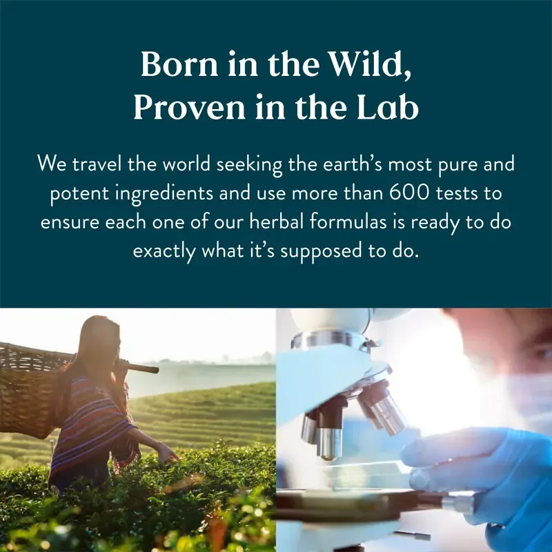 Nature's Sunshine Lymphatic Drainage Supplement: Reduce Bloat, Reduce Puffiness, Detoxify, Support Lymph Flow