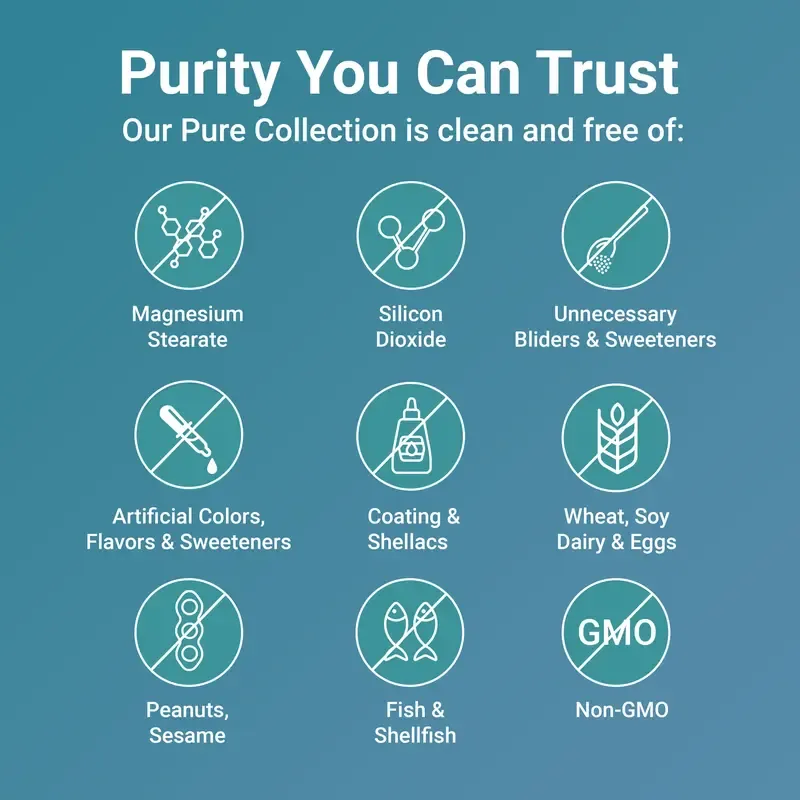 Micro Ingredients Turmeric Curcumin 1,000mg | 95% Curcuminoids with Black Pepper & MCT Oil for Ultimate Absorption, No Filler, No GMO - 120 Vegetarian Capsules