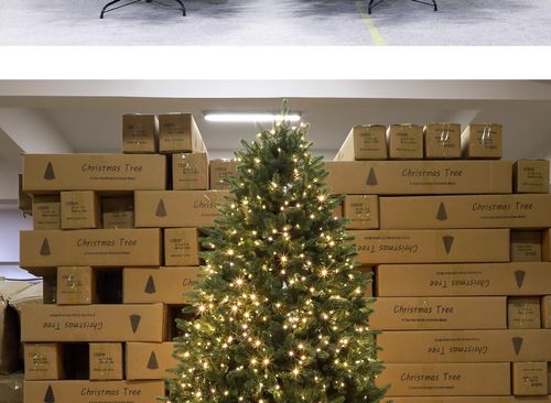 Pure pe Christmas tree new encryption luxury home luminous self-belt lights Christmas decorations simulation bare tree ornaments