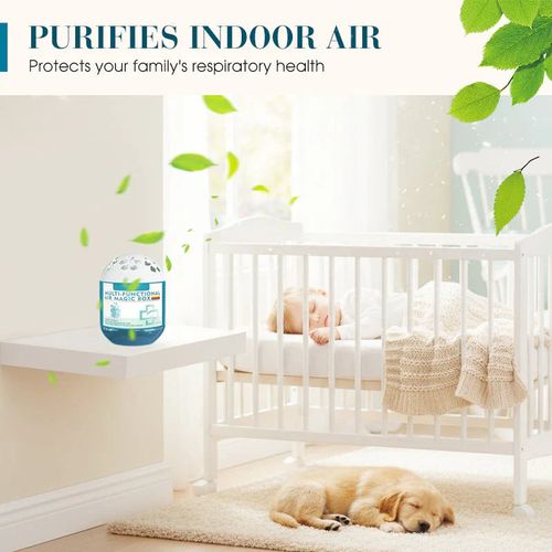 🖤2026 New Year · 40% OFF🖤Indoor Air Purification Dust Removal Magic Box🏠🌿