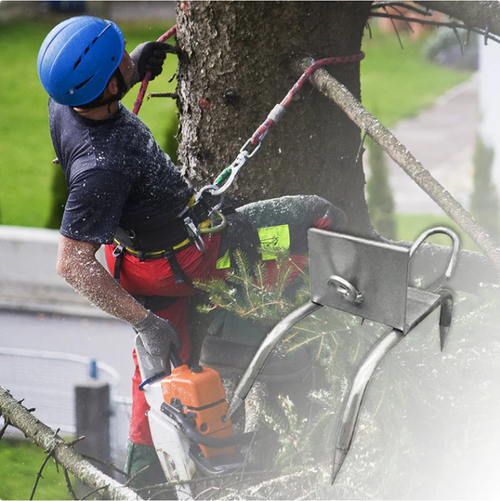 🔥2026 Hot Sale 50% OFF🔥 Outdoor Tree-Climbing Anti-Slip Cat Claw Shoes Set