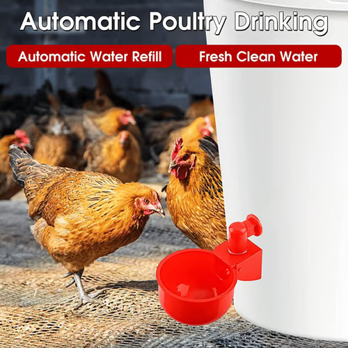 Automatic Poultry Drinking Bowl