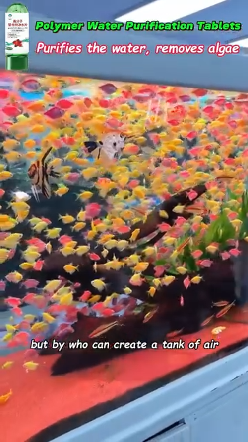 💥Hot sale♻️💧Powerful Aquarium Water Purification Tablet