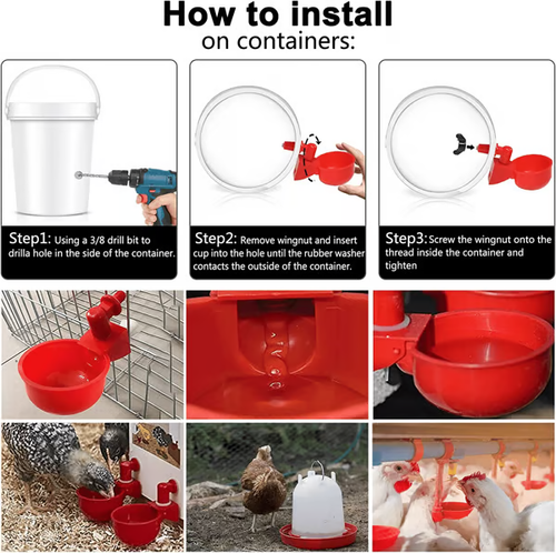 Automatic Poultry Drinking Bowl