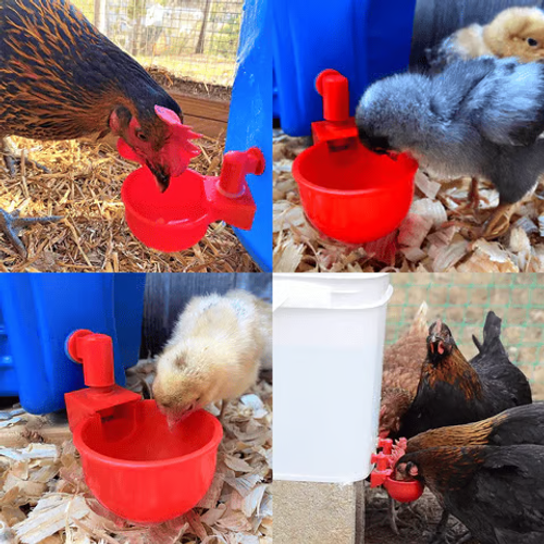 Automatic Poultry Drinking Bowl