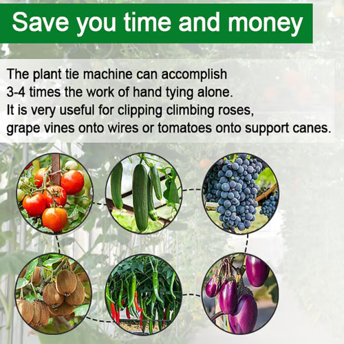 🍇Plant Tying Machine🌶️  Who gets it?! Tying branches = exhaustion 😭Until I found this plant tying machine! No stem damage, ,no seedling squeeze,10x faster than hand-tying