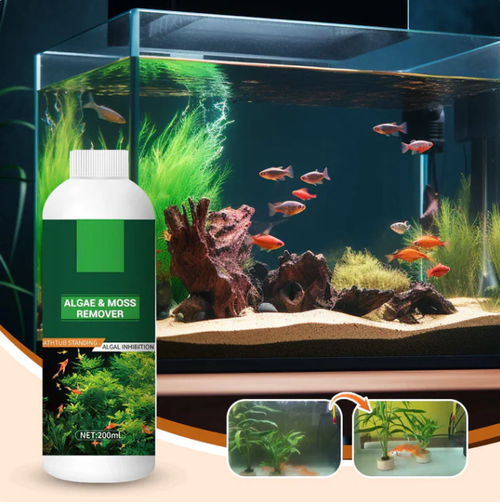 💥Hot sale♻️💧Powerful Aquarium Water Purification Tablet