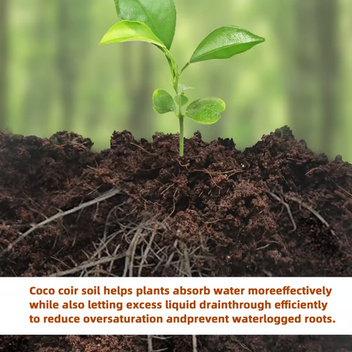 Premium Organic Coconut Coir Bricks for Plants！From brick to soil magic! 🌱 Just add water to expand this coco coir brick for the perfect plant base—moisture, aeration, and eco-friendly goodness all in one.👉