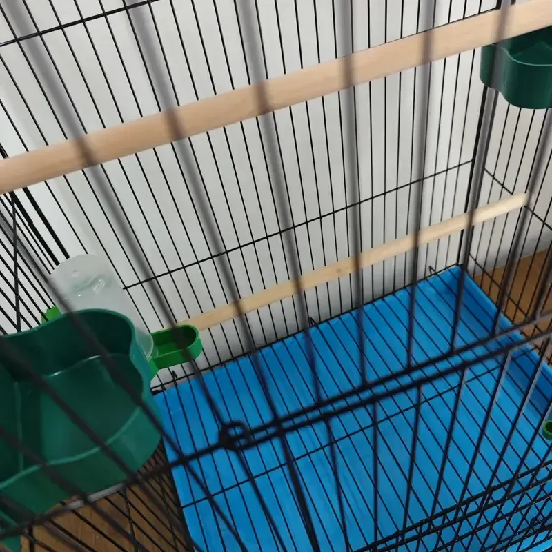 35 Iron alloy birdcage rack