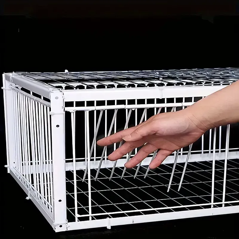 33 Pigeon cage