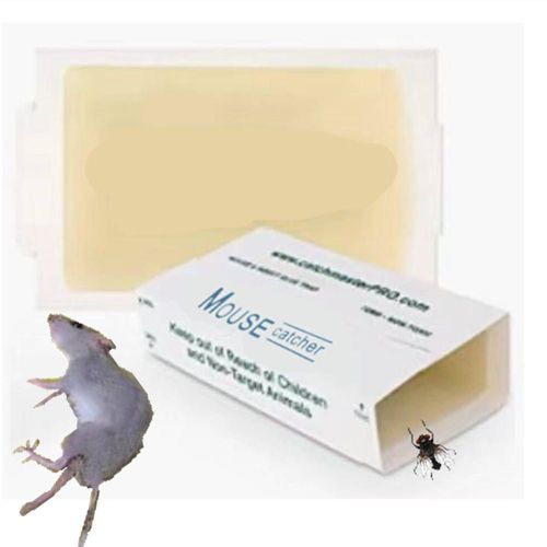 Hot Sale! Indoor Glue Mouse Traps, Insect Traps & Super Strong Adhesive Boards – Buy One, Get Two Free