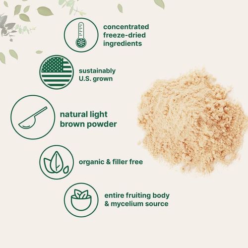 100% Organic Lion's Mane Mushroom Powder Clinically Studied Superfood Supports Brain Health, Focus, Neurogenesis, and Immunity