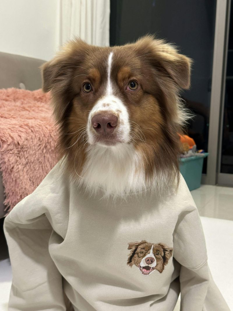 Personalized Pet Face and Name Embroidered Sweatshirt Hoodie